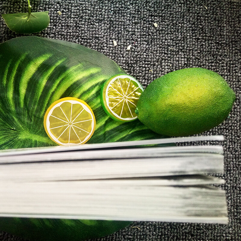 Yang Hongying's Diary of the Laughing Cat Frog Chorus (Volume 21) (7-12 years old) children's literature primary school fairy tales for first, second and third grade, International Andersen Award Nomination Award, harmonious coexistence between man and nature, environmental protection