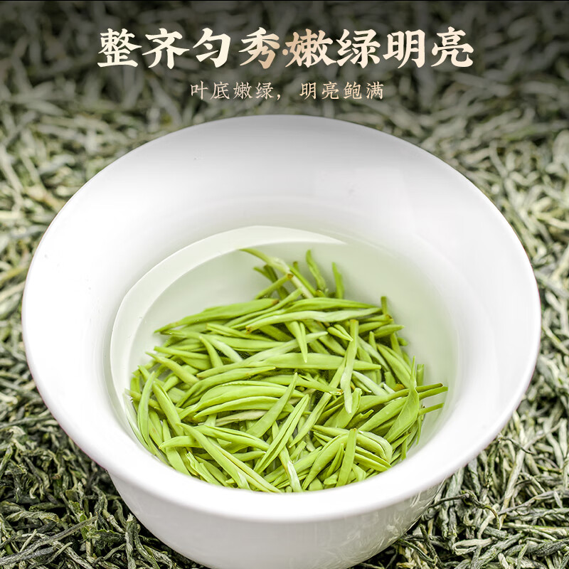 Chengxi Lake Green Tea Xinyang Maojian Tea 250g New Tea Mingqian Young Buds Spring Tea Gift Box New Year's Day Gifts for Elders