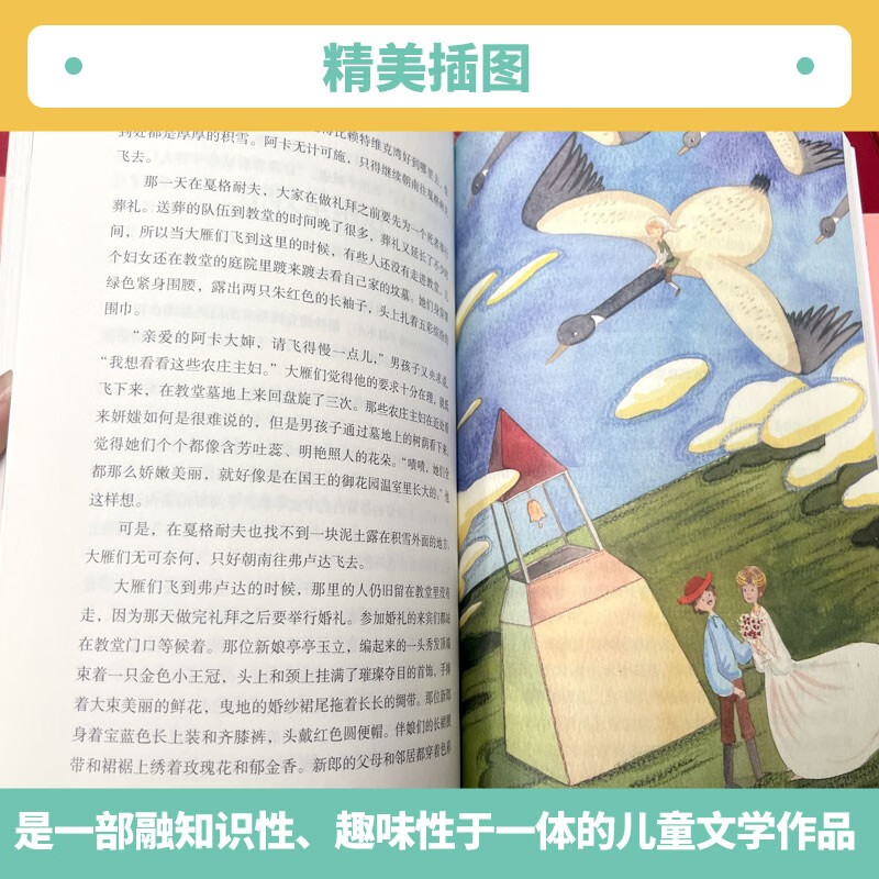 Niels's Travels Riding a Goose, People's Education Press Happy Reading Bar for Sixth Grade, Volume 2 (3 volumes), edited by Cao Wenxuan and Chen Xianyun, supporting Chinese textbooks