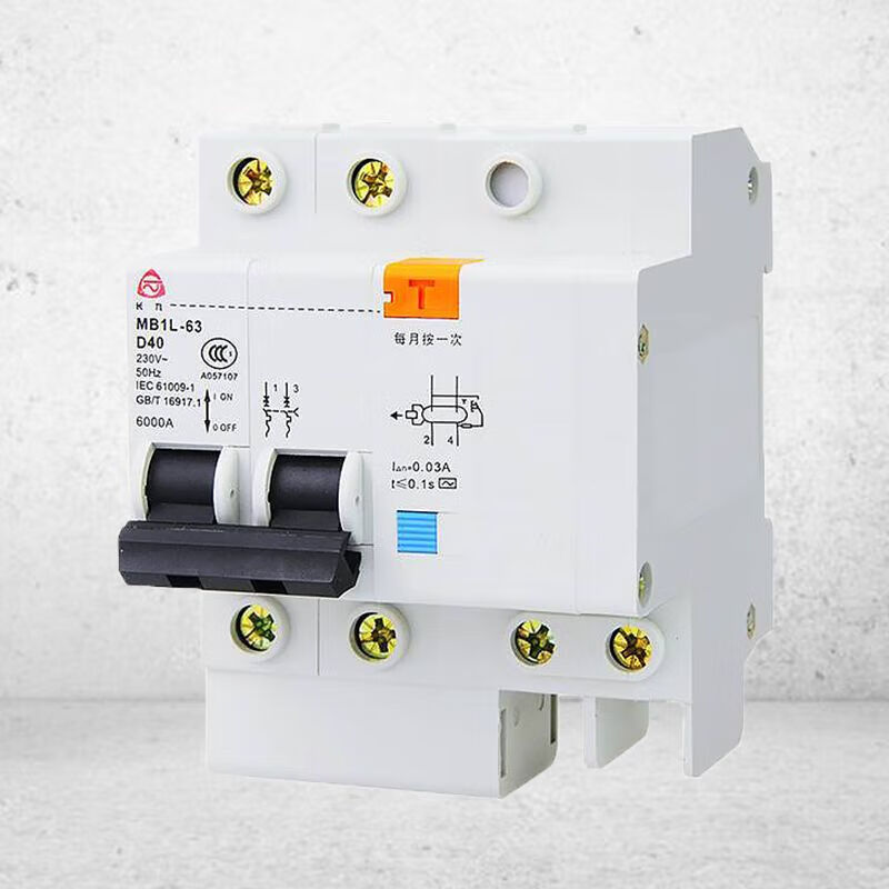 Shantou Lincun Guizhou Taiyong Changzheng Changjiu small leakage circuit breaker MB1L-63C/D micro air switch 16A 2P