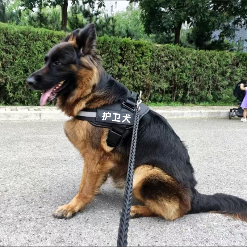 Horse dog traction rope, special guard dog duty clothes, vest and harness for walking dogs, Doberman medium and large dog rope, black - guard dog + rope 3XL - extra large 90-120 catties