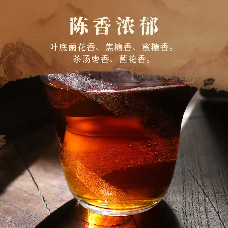 Little Senior Sister Reviews Tea 2009 Golden Flower Fu Brick Tea Hunan Anhua Dark Tea 50g