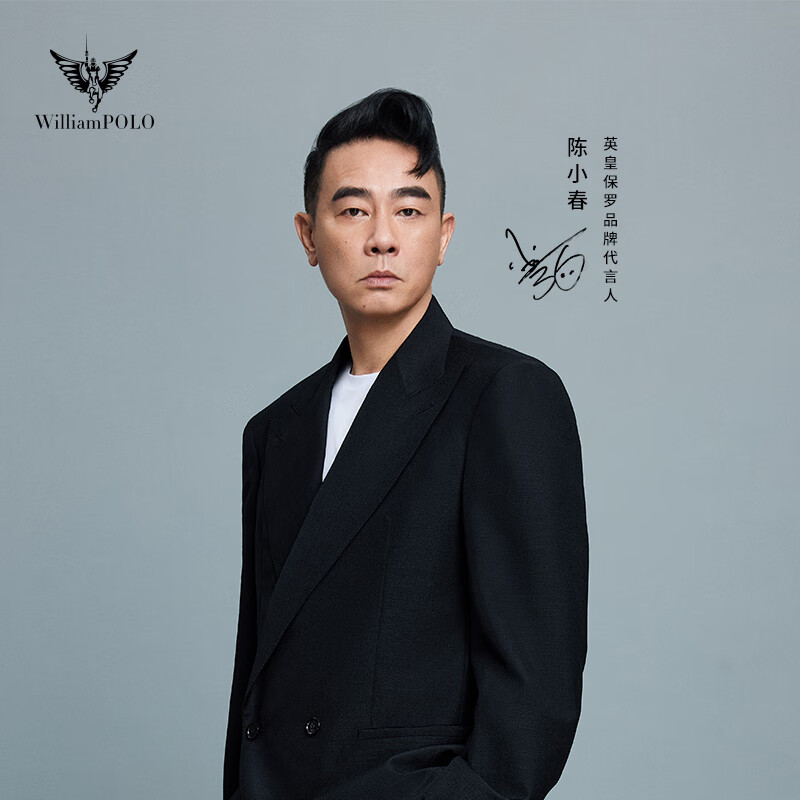 WILLIAMPOLO Paul business briefcase genuine leather men's handbag large capacity first layer cowhide 17 inches computer bag high-end black (first layer cowhide) 17 inches