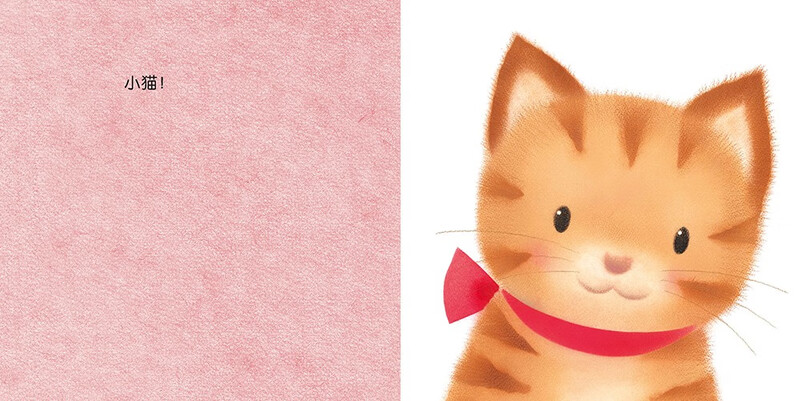 Click-to-read version Who is Jijijiji? Play with Chicken Qiuqiu series. Baby cognitive three-dimensional book. Baby bedtime story. Children's early education enlightenment book. 0-2 years old children's enlightenment. Tear-proof cardboard flip book. Supports Little Monkey Skin Point Reading Pen.