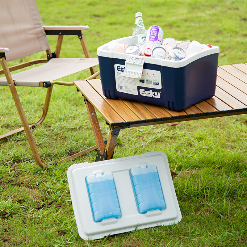 Eski insulated box car refrigerator 12L outdoor refrigerated stall commercial 6L medical portable car home dual-use trunk 12L-PU material (with ice brick 2)