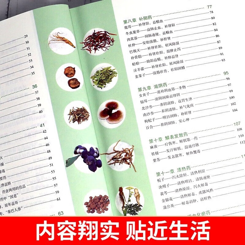 Introduction to Traditional Chinese Medicine (3 volumes in total) Complete Book of Traditional Chinese Medicine Diagnosis + Learn Traditional Chinese Medicine by Yourself + 100-Day Guide to Self-Study of Traditional Chinese Medicine Basic Knowledge of Traditional Chinese Medicine