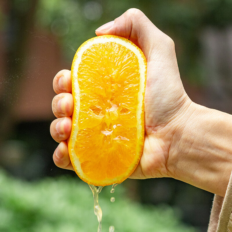 Jingxiansheng Gannan navel orange, net weight 10 catties, diamond fruit, single fruit starting from 230g, fresh orange fruit New Year gift box