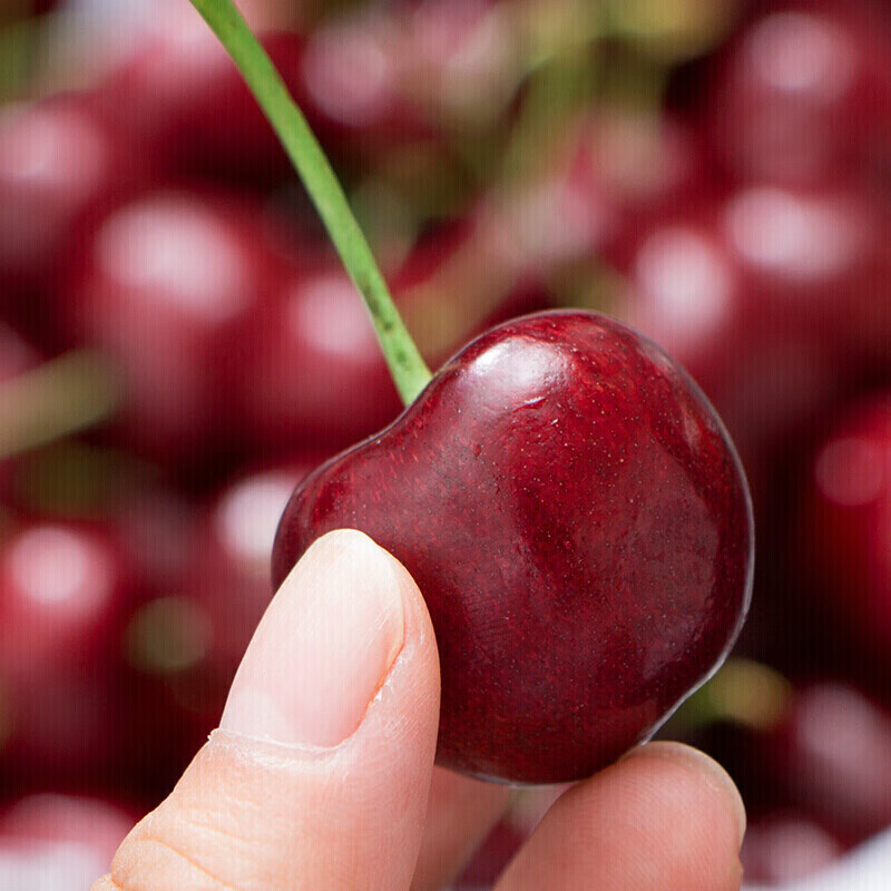 Detective Xianxian imported large cherries from Chile, next-day delivery to multiple locations, fresh fruit optional gift box, 1250g (net weight), Big Mac 3J 30-32mm, 3kg box, gift box