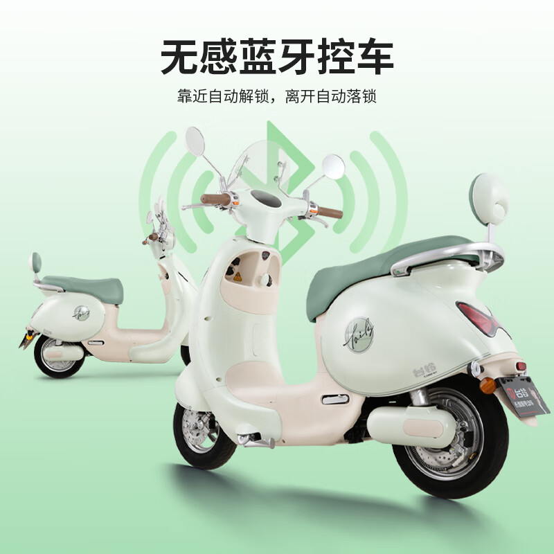 Tailing Electric Vehicles Pick Up in Store Tailing Super 6 Butterfly Electric Motorcycle High-end Long Range Electric Motorcycle Commuting Battery Vehicle Please Go to the Store to Buy the Color