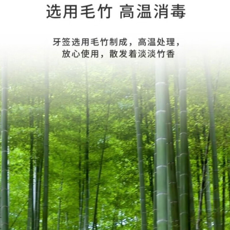 Toothpicks 3500 disposable carbonized bamboo toothpicks for home and commercial use single tip hotel wholesale restaurant hotel single tip