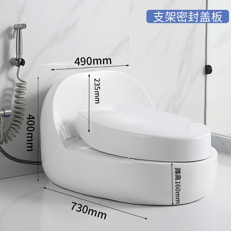 Modern squatting dual-purpose toilet one-in-one two-in-one squatting and sitting dual-purpose desktop squat toilet package installation B-type egg-shaped high-sitting sealed spray gun 305mm