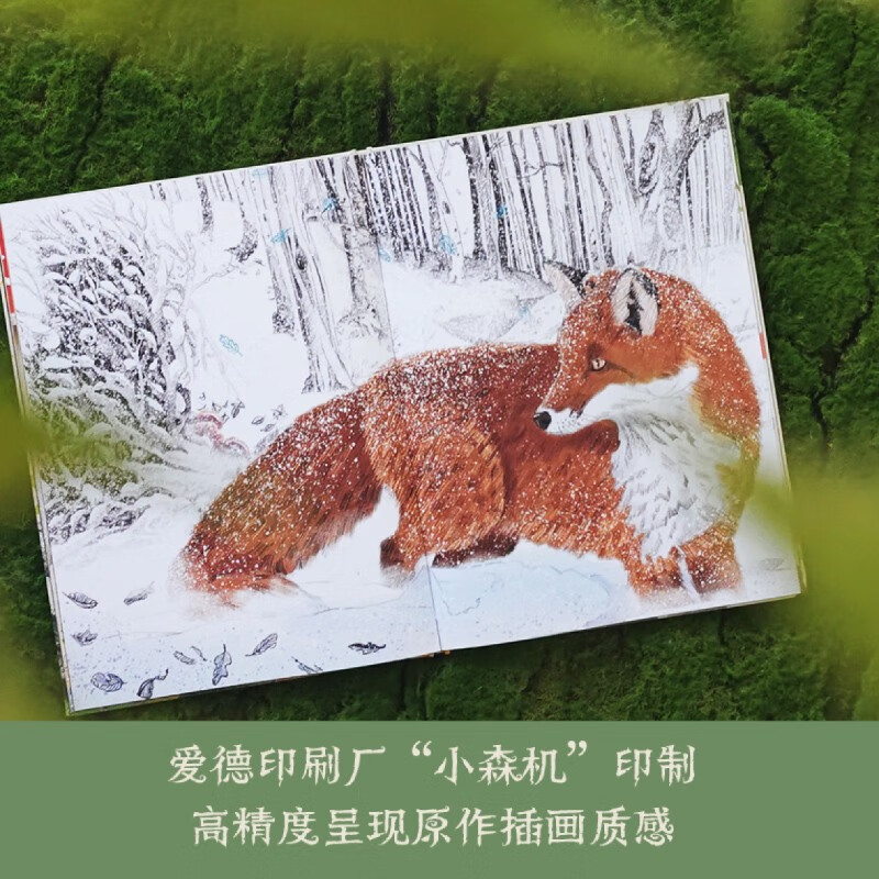 When a tree falls, everything grows. The tree’s second life