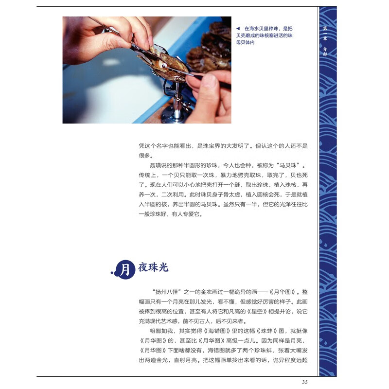 Complimentary super large species exploration map, Haicuo Map Notes Youth Edition by Zhang Chenliang, Infinitesimal Liang’s masterpiece of popular science, popular science books on biology, National Geography of China, recommended reading books for primary and secondary schools, recommended reading books on popular science books by CITIC Publishing House, extracurricular reading