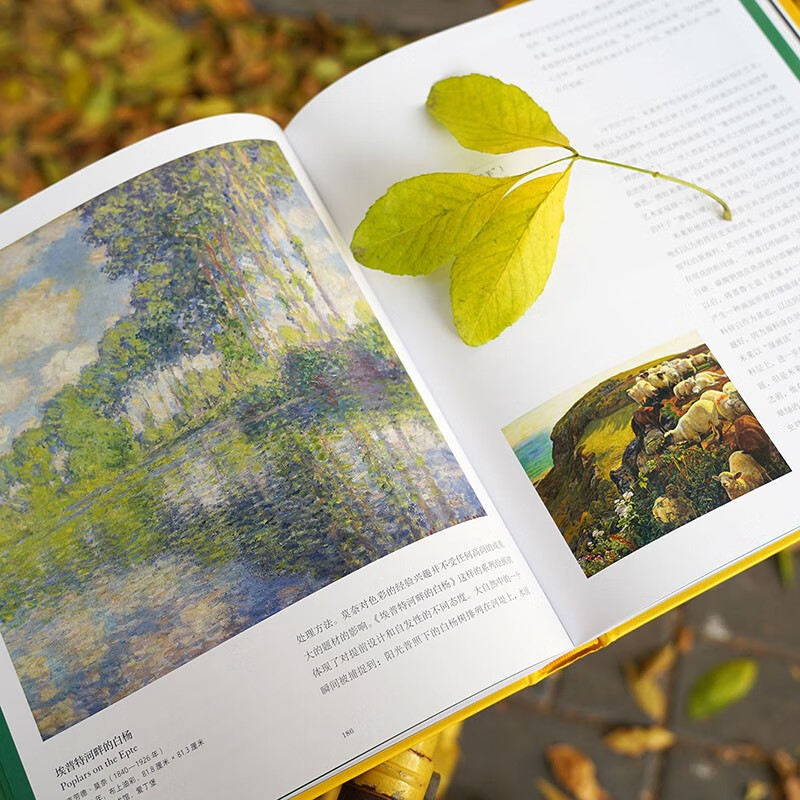 The Story of Color is an interesting, informative and knowledgeable art history book written for the public, taking you to explore the mysteries of color in art history.