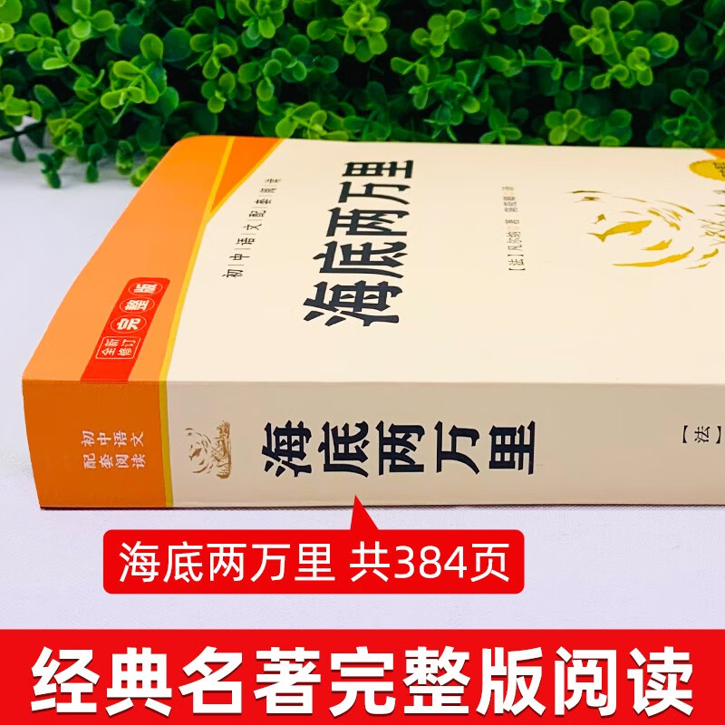 Twenty Thousand Leagues Under the Sea is a must-read masterpiece for seventh graders in the second volume. The complete version is a companion reading to the junior high school Chinese Humanities Education Edition textbook and comes with a reading core test manual.