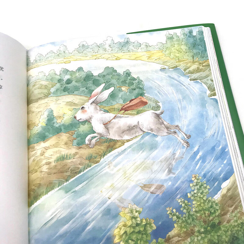 Rabbit Slope Hardcover International Award Children's Literature Art Collection Edition 7-9-10-12 Years Old Readings Extracurricular Reading Books for Primary School Students in Grades 3, 4, 5, and 6 World Classics Winter and Summer Vacation Must-read Books for Teenagers