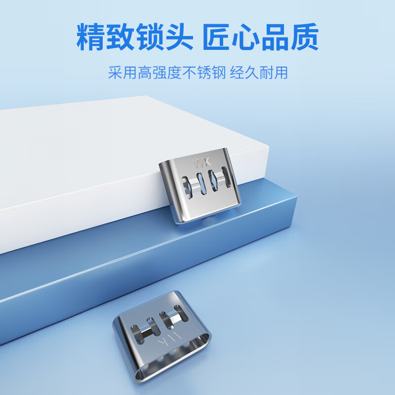 Weizhikong Enterprise USB Security Lock USB Occluder Sealing Plug USB Security Plug USB Lock USB Dust Plug Bright Silver/Type-C Lock (100 pieces + 2 tools)