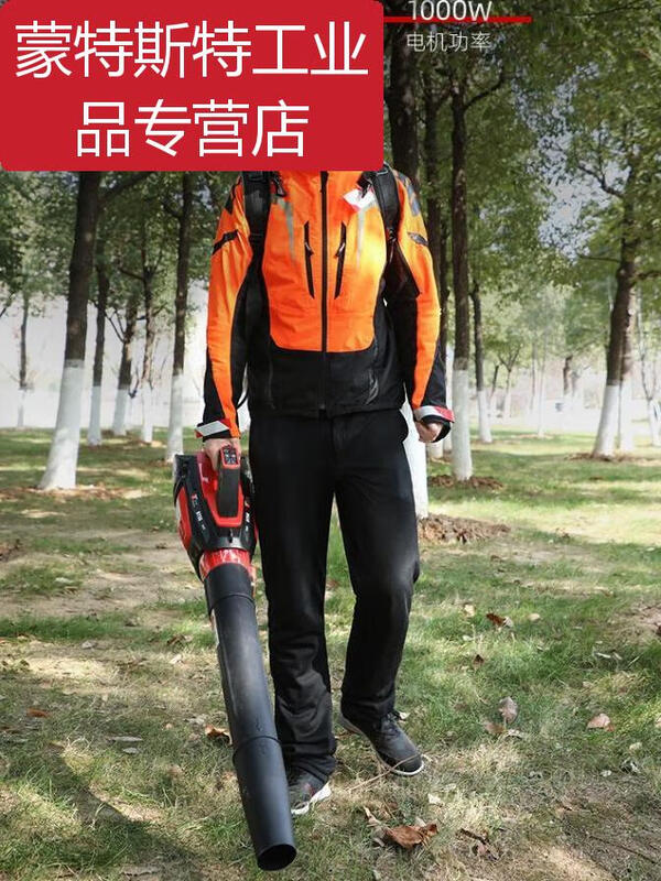 -BT56 lithium hair dryer blows snow in the greenhouse, fire fighting, blows fallen leaves and dust on the road, one charge and one charger.