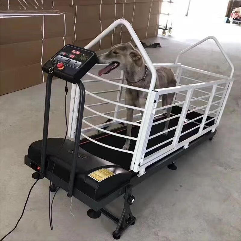 Dog Treadmill Dog Pet Treadmill Electric Treadmill Gree Dog Treadmill Police Loyal Edition Comes with Remote Control