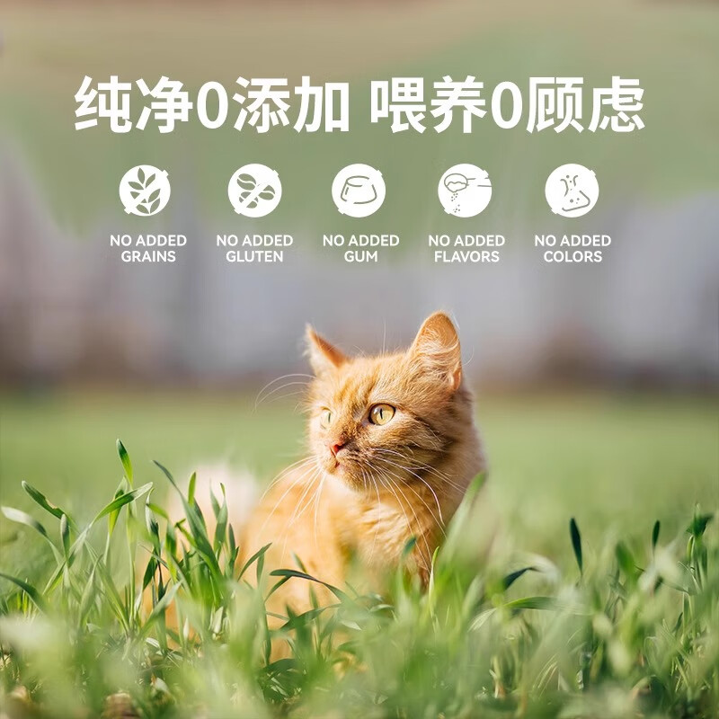 ZEAL No. 0 can full price grain-free cat canned New Zealand cat staple food can random flavor 170g (exclusively for new customers)