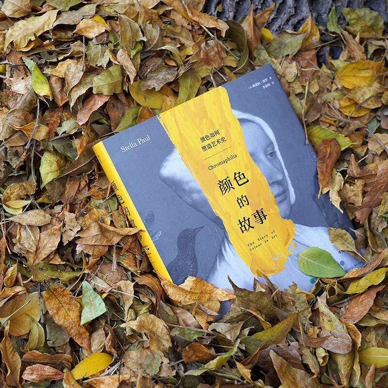 The Story of Color is an interesting, informative and knowledgeable art history book written for the public, taking you to explore the mysteries of color in art history.