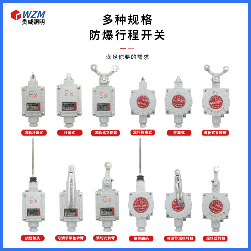 Explosion-proof travel switch limit switch foot switch LX5-series Class IIB Class IIC single rocker double rocker adjustable BCX-A single rocker arm (IIB)
