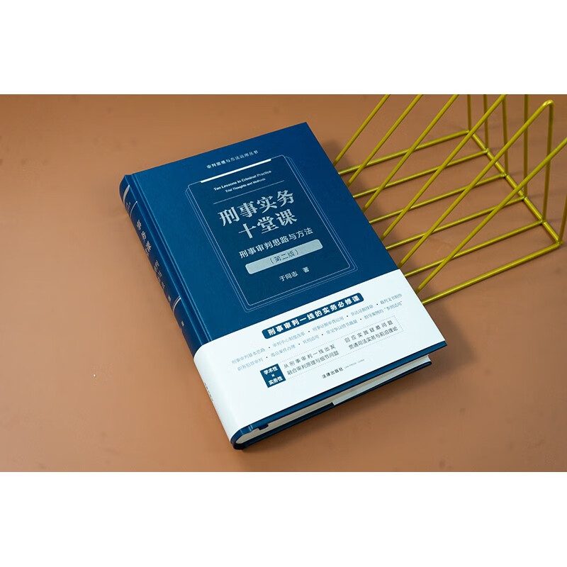 Ten Lessons on Criminal Practice Criminal Trial Ideas and Methods (Second Edition)