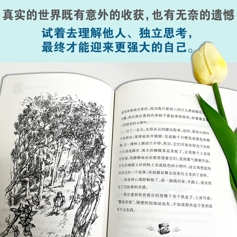 Xinhua Genuine Dear Mr. Han Xiu Newbery Children's Literature Award Grand Prize Series Novel Children's Literature Primary School Children's Extracurricular Reading Books 6-12 Years Old Xinlei Publishing House Xinhua Bookstore