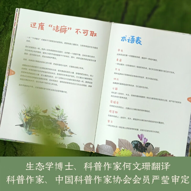 When a tree falls, everything grows. The tree’s second life