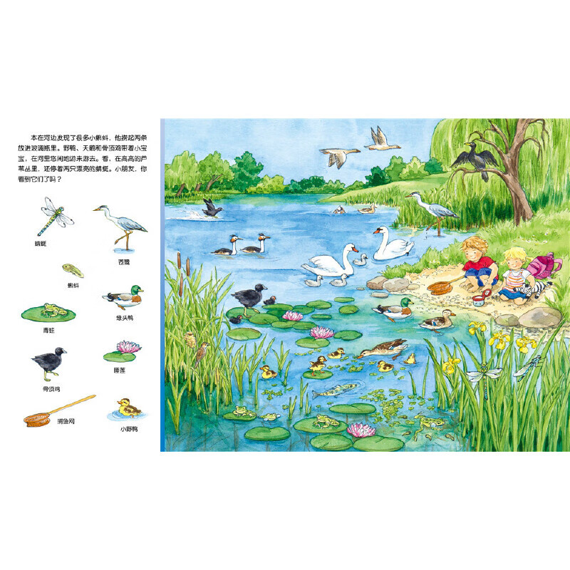 Click-to-read version (without reading pen) 1-4-year-old children's concentration training game book, Baby Concentration 1000 (6 volumes in total) City Discovery, Car Discovery, Concentration Training, Baby Tear-proof Thick Board Book, Kindergarten Picture Book, Green Environmentally Friendly Printing, Animal Discovery (Click-to-Read Version)