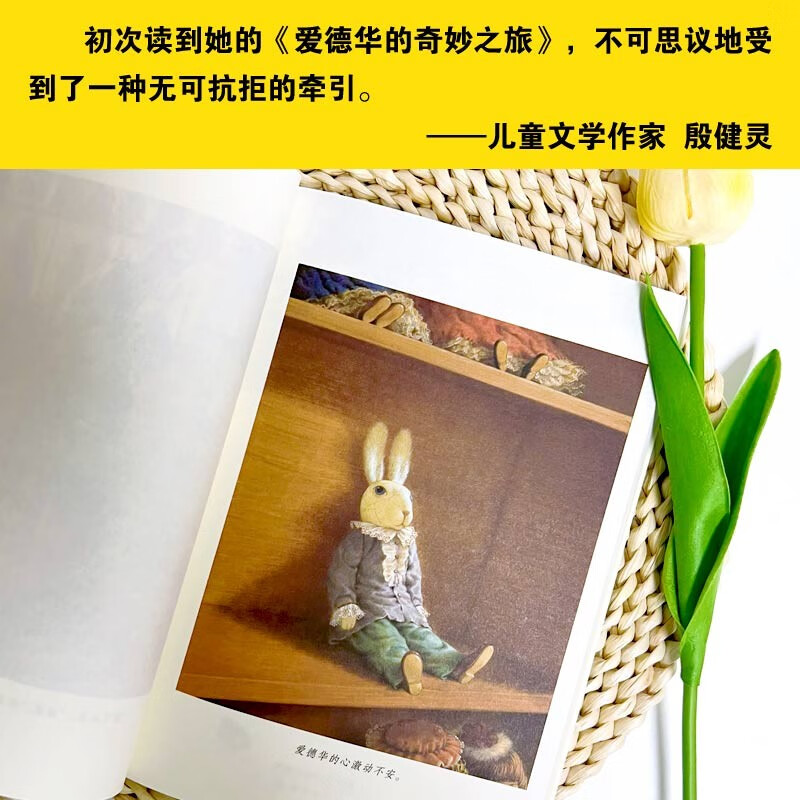 International Grand Prize Novel Edward's Wonderful Journey (Boston Global Horn Book Gold Award, written by three-time Newbery Medal winner Kate DiCamillo) Extracurricular Reading Reading Extracurricular Book Winter Vacation Homework Winter Vacation Connection for Primary to Secondary School Winter Vacation Connection for Primary to Junior High School