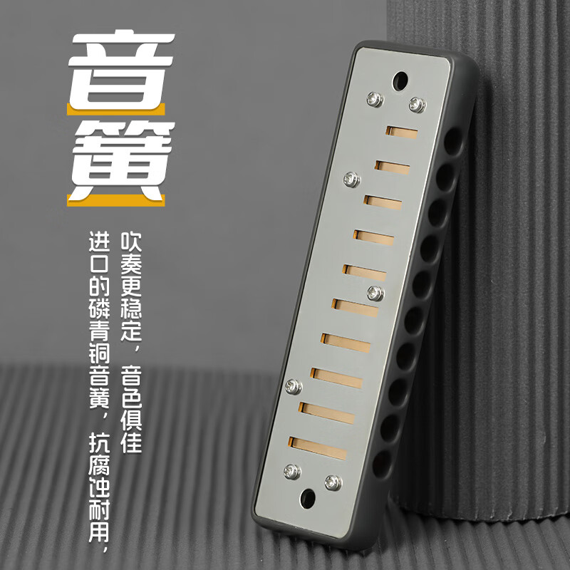 BoogieMAN Yuanyuan's same model ProReeds ten-hole harmonica paddy blues for adults and children beginners blues 10 holes
