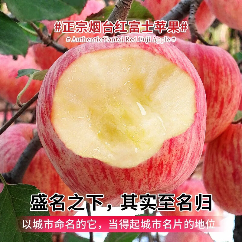 Crisp and sweet red Fuji apples, Shandong Yantai Qixia ugly apples, fresh fruit, whole box, 5 catties in box, sweet and medium-sized fruit
