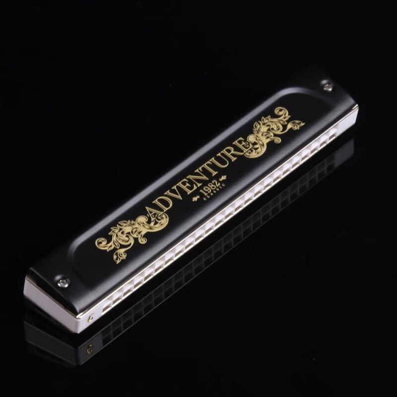 Swan 40th Anniversary Collector's Edition 24-hole Polyphonic Palace-level professional performance-grade harmonica high-end gift adult musical instrument 24-hole polyphonic C key