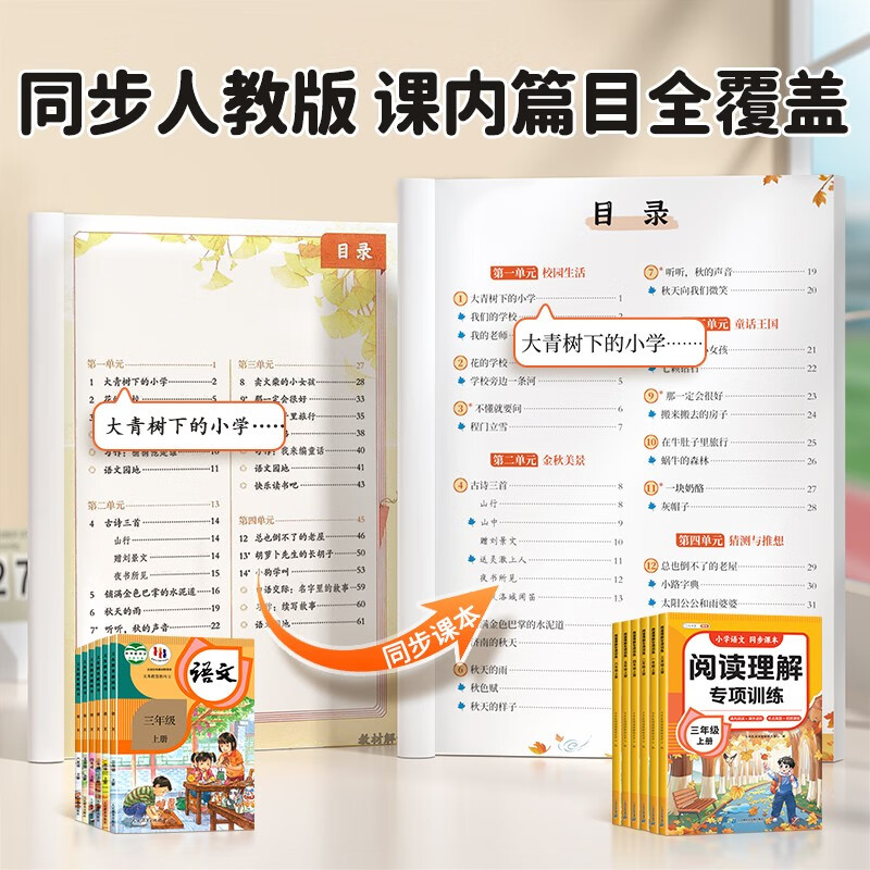 Doubanjiang Primary School Chinese Reading Comprehension Special Training Volume 1 Reading Comprehension In and Out of Class Synchronous Reading Intensive Training Formula Method Answering Skills Improvement Daily Practice Synchronous Workbook