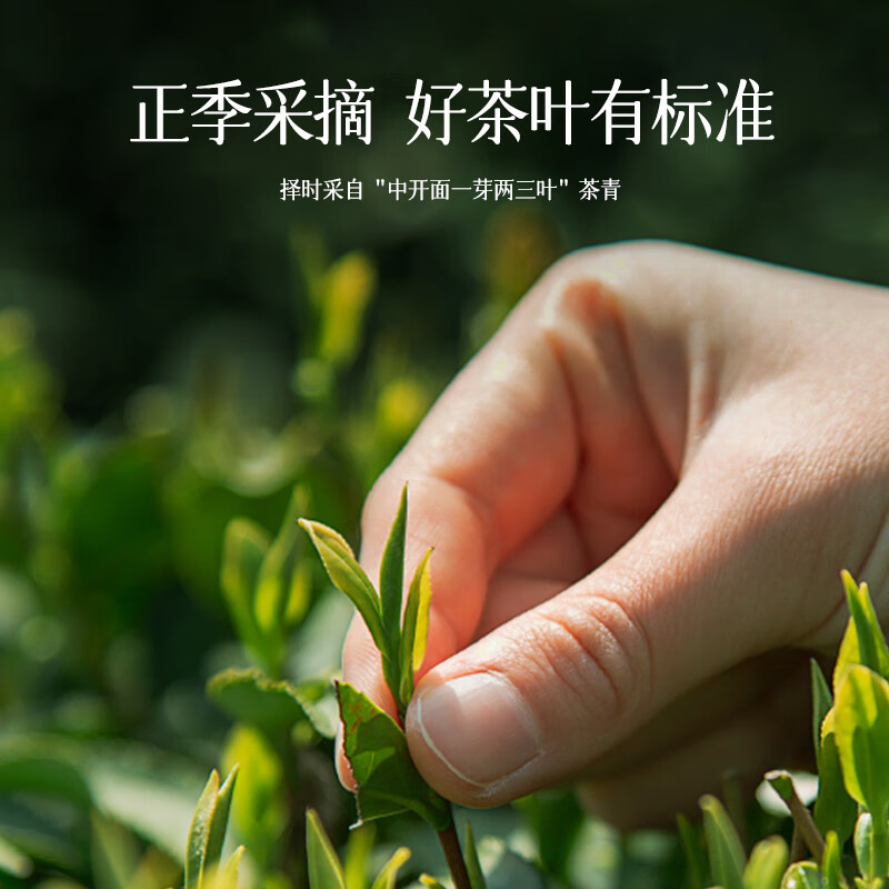 Jingshiyue Specialty High Mountain Frozen Top Oolong Tea Gift Box for Drinking for Yourself Yuling High Cold Green Tea Leaves for Elders During the Mid-Autumn Festival Xiamen Special Tea Snacks 12 Cake 12 Flavors 300g