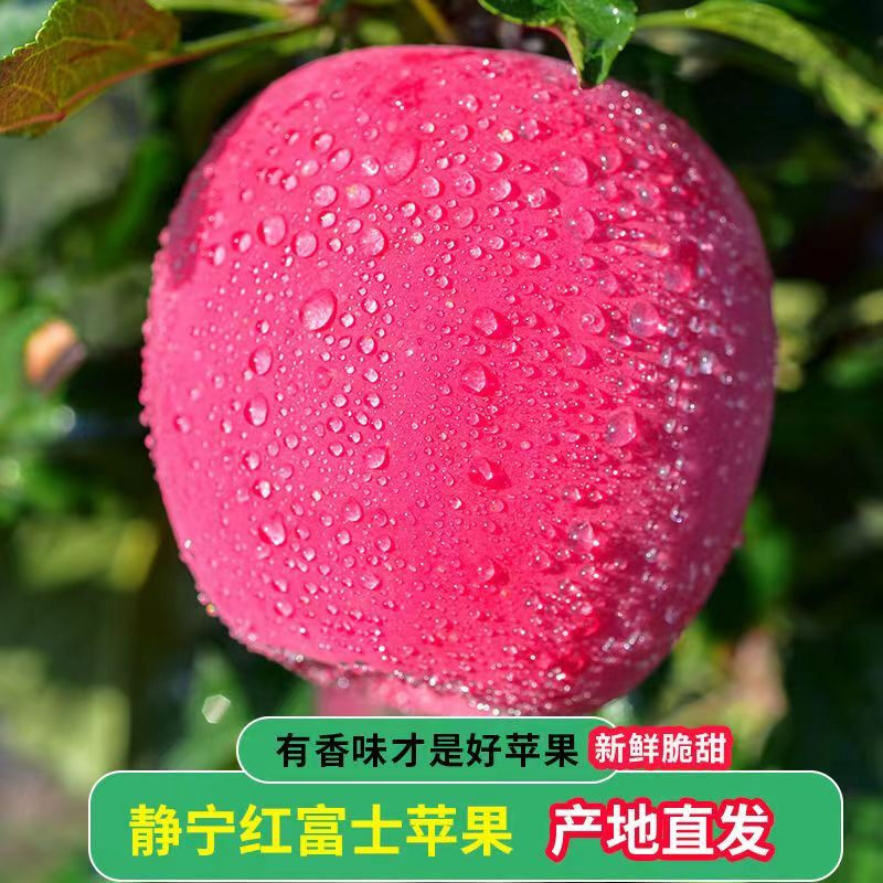 SF Gansu Tianshui Jingning apple 9 pounds freshly picked crisp sweet red Fuji unwaxed fresh fruit rock candy heart L5 9 pounds medium fruit SF freshly picked/crisp sweet and juicy