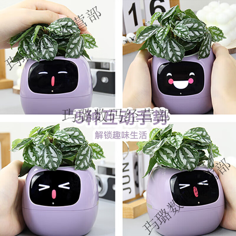 Ivy Emotional Intelligent Plant Cute Pet Intelligent Robot Flower Pot Plant Table with Trendy Ornaments Birthday Gift Retro Green Smart Flower Pot Happy Birthday Gift Set Ghostwritten Oil Painting Style Greeting Card