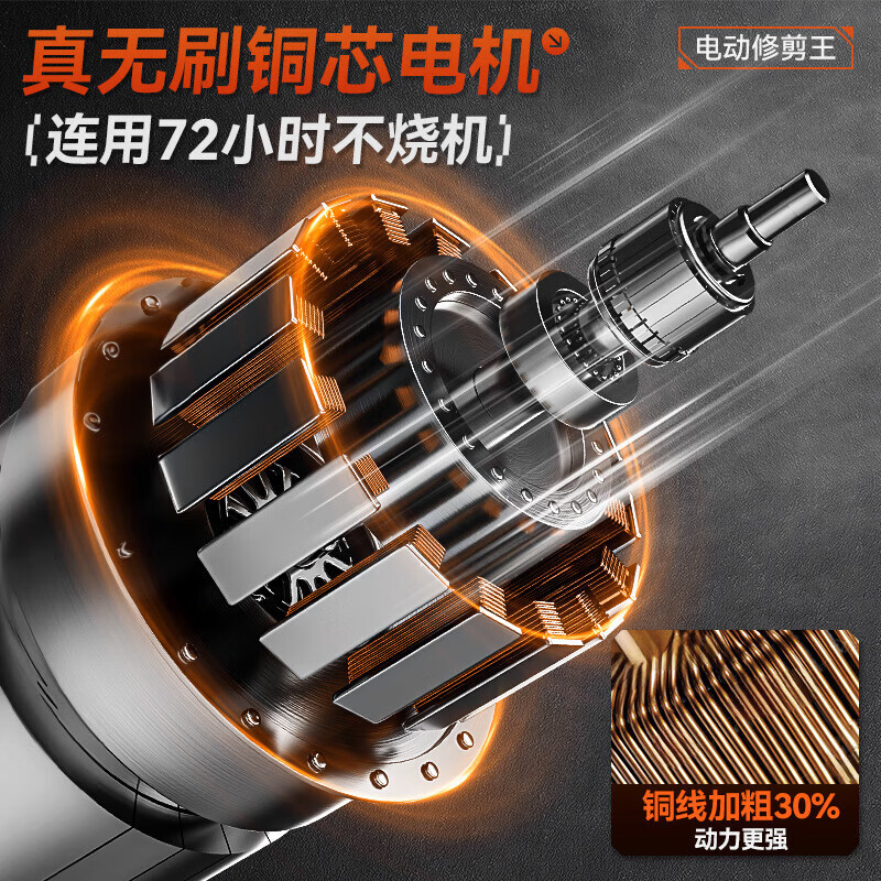 Powerful electric scissors for cutting branches, lithium battery garden scissors, pruning shears for fruit trees, heavy cutting opening 5.5CM, two batteries and one charge