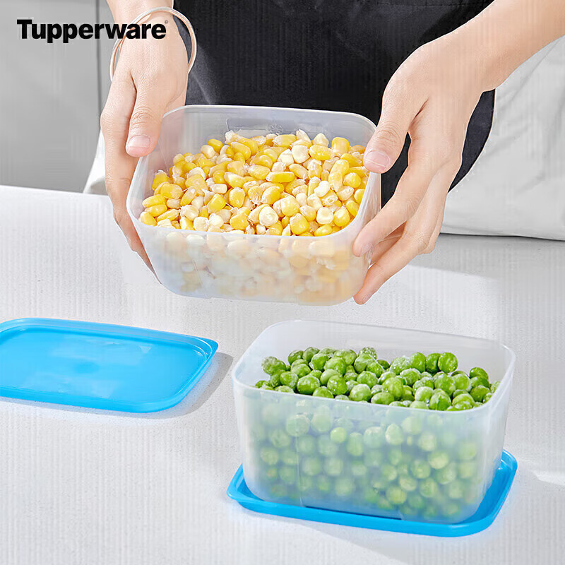 Tupperware frozen 700ml*2 food-grade refrigerator storage box meat quick-freezing quick-unsealing random color