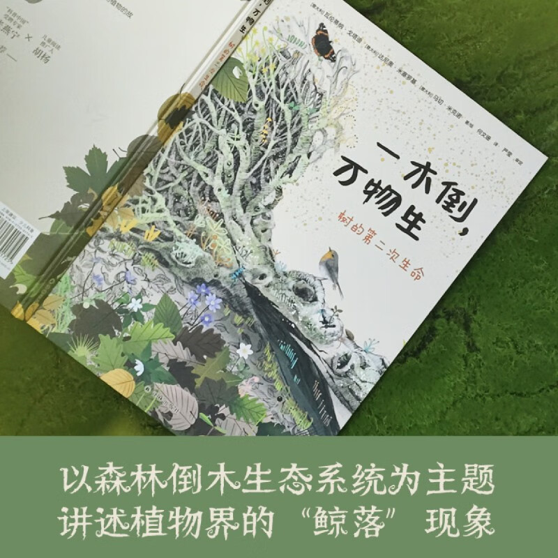 When a tree falls, everything grows. The tree’s second life