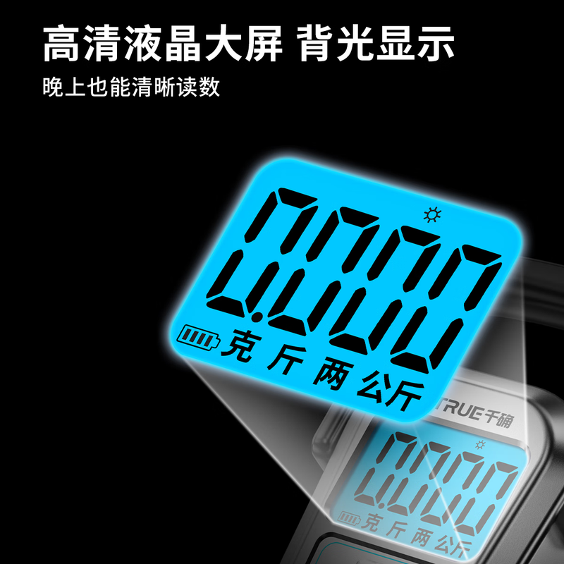 Qianque portable electronic scale 100 catties accurate commercial household food weighing portable spring fish scale kitchen charging