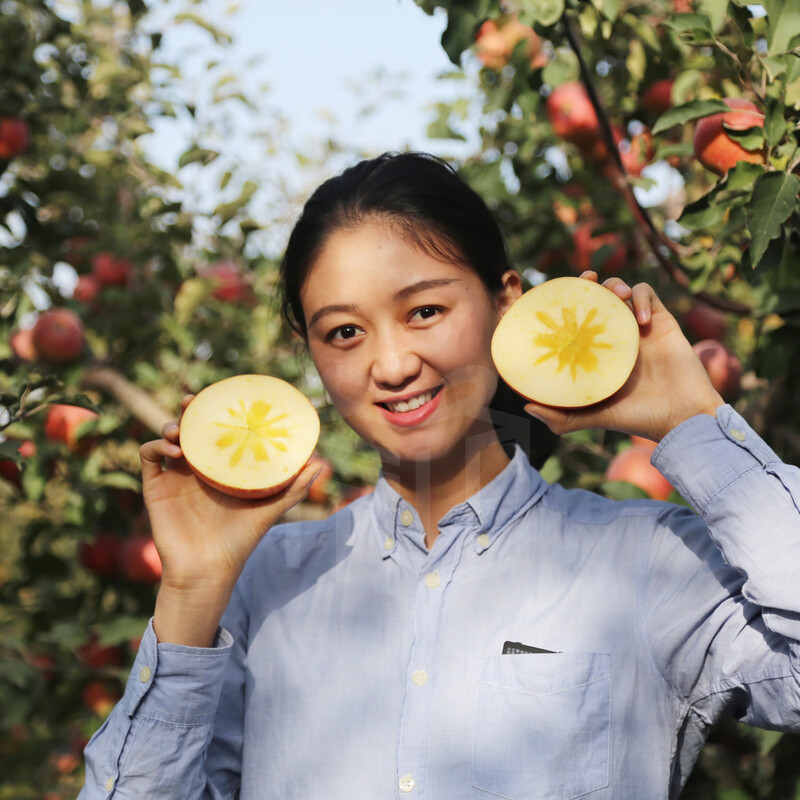 Team 6 of Hongqipo, Xinjiang Aksu Apple Rock Candy Hearts, Gift Box, Fresh Fruit, Picked Now, 8 Jin Family Pack (About 16 Fruits)