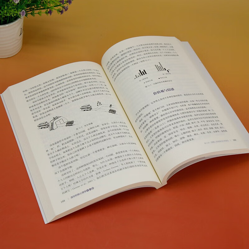 Tsinghua Positive Psychology Lecture 16