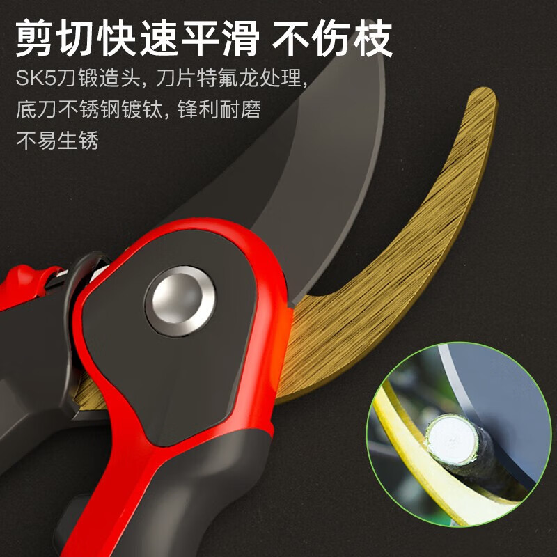 DELIXI ELECTRIC gardening scissors, special scissors for cutting branches, floral scissors, garden fruit tree pruning shears, two-color handle