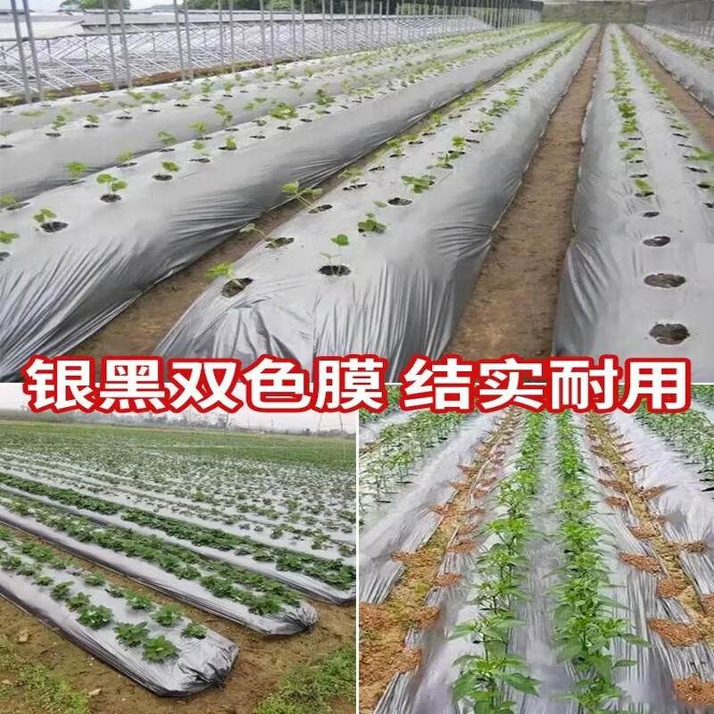 Silver and black two-color mulch film, new material, thickened insect-proof reflective mulch film covering weeding film, thermal insulation agricultural mulch film, silver black 10 pounds 1.2 silk thick 2 meters wide 150 meters long