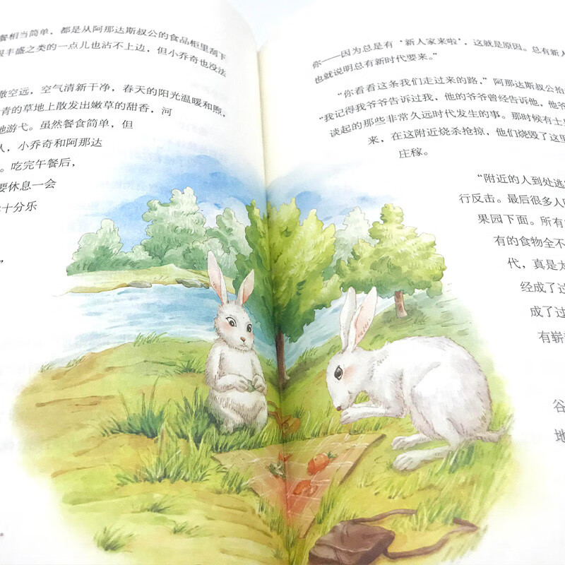 Rabbit Slope Hardcover International Award Children's Literature Art Collection Edition 7-9-10-12 Years Old Readings Extracurricular Reading Books for Primary School Students in Grades 3, 4, 5, and 6 World Classics Winter and Summer Vacation Must-read Books for Teenagers