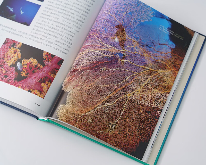 Beautiful Earth Underwater Paradise (Visit 58 dreamy diving resorts and travel the underwater world)