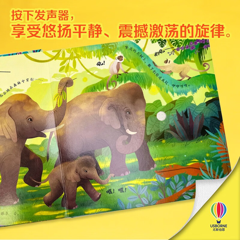 Usborne Classical Music Sound Book Carnival of the Animals