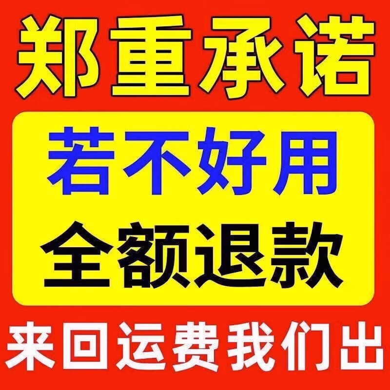 Bull 2025 new electric vehicle battery repairer genuine automatic power-off universal pulse charging battery life activation artifact